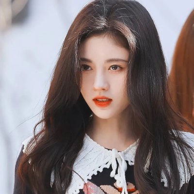 鸟,孤儿和愚人